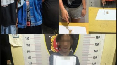 Bandar Narkoba Bersama 5 Pelaku Berhasil Diamankan Polisi di Balige, 281,85 Gram Ganja Disita