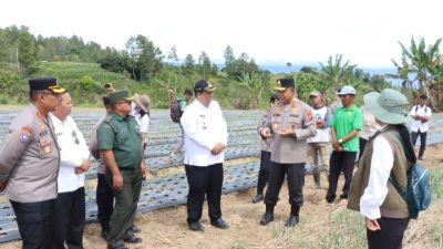Kapolda Sumut Tinjau Sentra Bawang Putih di Samosir, Tegaskan Dukungan Polri untuk Ketahanan Pangan Nasional