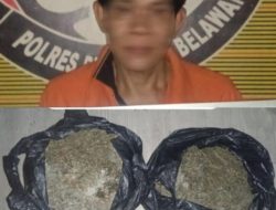 Sat Narkoba Polres Pelabuhan Belawan Tangkap Pengedar Ganja Asal Aceh, Sita 840 Gram Ganja Kering