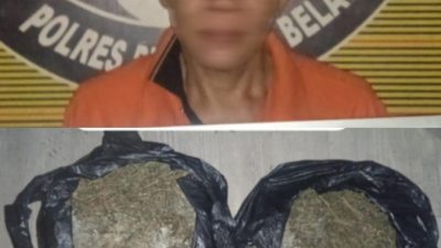 Sat Narkoba Polres Pelabuhan Belawan Tangkap Pengedar Ganja Asal Aceh, Sita 840 Gram Ganja Kering
