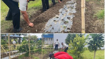 Dukung Ketahanan Pangan, Rutan Sidikalang Sulap Lahan SAE Jadi Kebun Bawang Merah Produktif