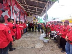PBB Dairi Buka Resto UMKM Kuliner Khas Pakpak, Wujud Nyata Dorong Ekonomi Masyarakat