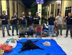 Satwa Dilindungi Bukan untuk Dikuliti, IPDA Gagas Pimpin Pengungkapan Perdagangan Satwa Dilindungi di Simalungun: Jiwa Reserse Membara