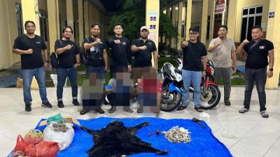Satwa Dilindungi Bukan untuk Dikuliti, IPDA Gagas Pimpin Pengungkapan Perdagangan Satwa Dilindungi di Simalungun: Jiwa Reserse Membara