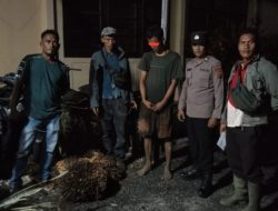 Diduga Curi Empat Tandan Sawit Milik Perusahaan, Seorang Pemuda Diamankan di Pinangsori