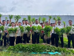 Laksanakan Panen Raya Kangkung, Rutan Sidikalang Siapkan Bekal Kemandirian Untuk WBP