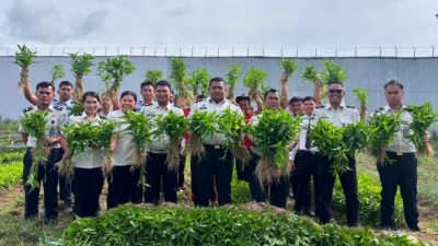 Laksanakan Panen Raya Kangkung, Rutan Sidikalang Siapkan Bekal Kemandirian Untuk WBP