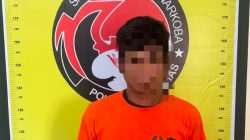 Sabu di Saku Celana, Sopir Angkot Tak Berkutik Saat Ditangkap Polisi di Humbahas
