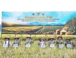 Pangdam I/BB Hadiri Vicon Panen Raya TNI di Langkat