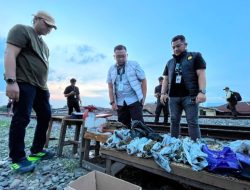 Polrestabes Medan Ratakan Bantaran Rel KA Medan – Kualanamu yang Jadi Sarang Narkoba 3 Kg Ganja, Sejumlah Paket Sabu, Hingga Beragam Senjata Disita