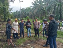 Sigap dan Profesional, Polsek Gunung Malela dan Tim Inafis Polres Simalungun Tuntaskan Olah TKP Penemuan Jenazah di Kebun Marihat