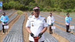 Bupati Toba Dorong Evaluasi dan Penguatan Budidaya Bawang Putih