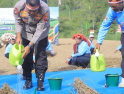 Kapolda Sumut Pimpin Penanaman Bawang Putih Serentak di Samosir, Dukung Percepatan Swasembada Pangan