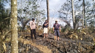Respon Cepat Polsek Dolok Silau Cek Titik Hotspot di Nagori Dolok Mariah, Api Ditemukan Sudah Padam