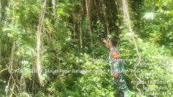 Cegah Karhutla, Koramil 17/Balige Gelar Patroli Lahan Rawan Kebakaran 