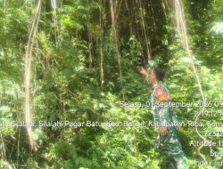 Cegah Karhutla, Koramil 17/Balige Gelar Patroli Lahan Rawan Kebakaran 