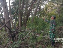 Koramil 17/Balige Gelar Patroli Rutin Cegah Karhutla 