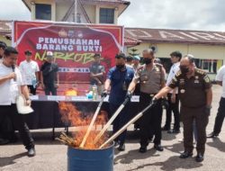 Polres Dairi Musnahkan 4,56 Kg Ganja Hasil Pengungkapan di Sumbul