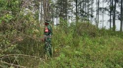 Babinsa Koramil 16/Laguboti Patroli dan Sosialisasi Karhutla di Desa Siraja Gorat