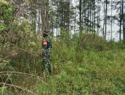 Babinsa Koramil 16/Laguboti Patroli dan Sosialisasi Karhutla di Desa Siraja Gorat