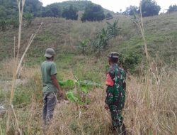 Patroli Karhutla di Karo Nihil Titik Api, TNI dan Aparat Terus Siaga