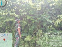 Babinsa Koramil 17/Balige Terus Lakukan Pencegahan Karhutla Secara Rutin Lewat Patroli