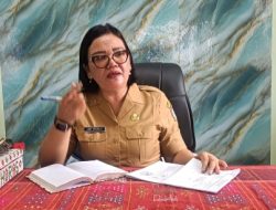 Dinas Pertanian Toba Siapkan Aturan Pola Tanam dan Tertib Tanam