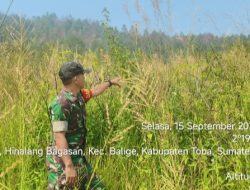 Babinsa Aktif Lakukan Patroli Karhutla di Desa Silalahi Pagar Batu 