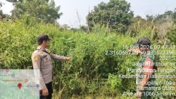 Sinergi Babinsa dan Bhabinkamtibmas Patroli Karhutla dan Sosialisasi di Kelurahan Parsoburan Tengah