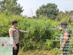 Sinergi Babinsa dan Bhabinkamtibmas Patroli Karhutla dan Sosialisasi di Kelurahan Parsoburan Tengah