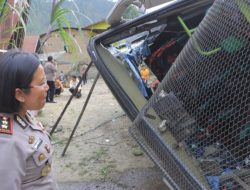 Polres Samosir Gerak Cepat Evakuasi Bus Terjun 8 Meter, Kapolres Pastikan 26 Orang Korban Ditangani Medis