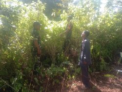 Babinsa Koramil 16/Laguboti Bersama Warga Patroli Karhutla di Desa Siraja Gorat 