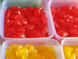 Manisan Kolang Kaling Usaha Bersama di Kelurahan Pagar Tengah, Pecahkan Rekor Dibuat Secara Alami