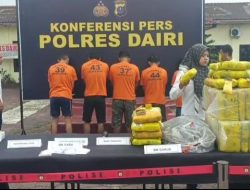 34 Kasus Narkotika Terungkap di Dairi, Temuan 70 Bal Ganja Jadi Sorotan