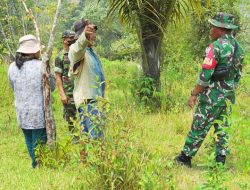 Babinsa Pelda R Siringoringo Bersama Warga Patroli Karhutla di Desa Haunatas Laguboti 