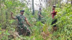Babinsa Koramil 16/Laguboti Bersama Warga Patroli Karhutla di Desa Haunatas Laguboti 