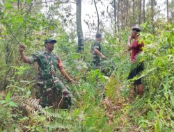 Babinsa Koramil 16/Laguboti Bersama Warga Patroli Karhutla di Desa Haunatas Laguboti 