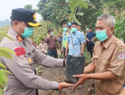 Green Policing : Kapolres Toba Ajak Masyarakat Tanam Pohon: “Alam Jaga Kita, Kita Jaga Alam”