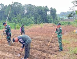 Dukung Ketahanan Pangan, Satgas TMMD ke-130 Lakukan Penanaman Jagung di Lahan 1 Hektare