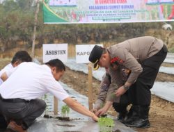 Dukung Pengendalian Inflasi, Kapolres Humbahas Hadiri Gerakan Tanam Cabai Merah Serentak