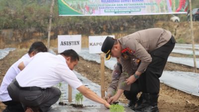 Dukung Pengendalian Inflasi, Kapolres Humbahas Hadiri Gerakan Tanam Cabai Merah Serentak