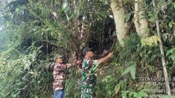 Babinsa Bersama Ormas Gelar Patroli Karhutla di Desa Hutagaol Peatalun Balige