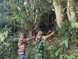 Babinsa Bersama Ormas Gelar Patroli Karhutla di Desa Hutagaol Peatalun Balige
